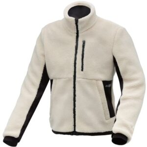 teddymotion